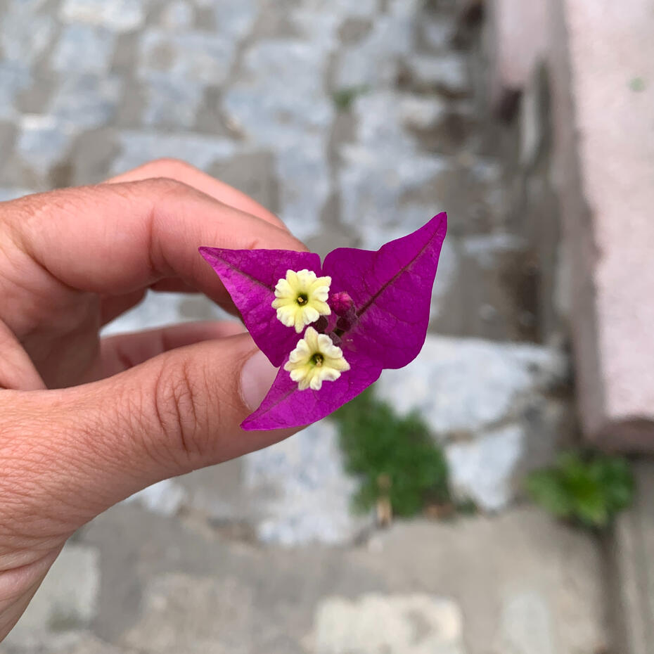 Unknown artist, Versailles