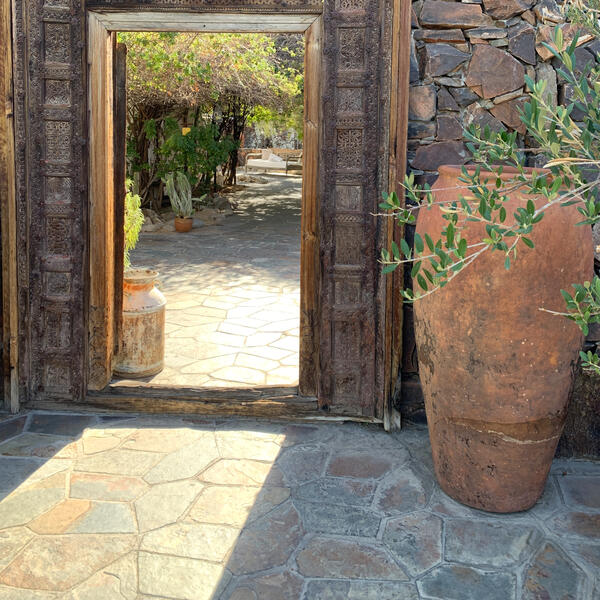 Consultation & Supervision